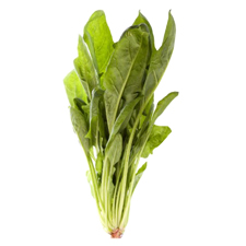 Box of Fresh Spinach