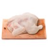 Box of Whole Broiler Hen 10Kg (Hard Chicken)