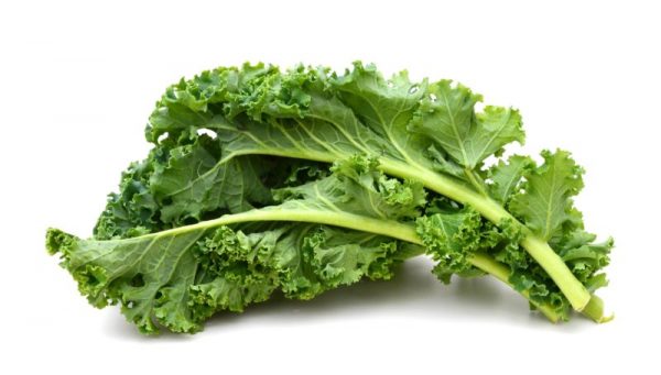 Fresh Kale (Pack of 3)