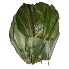 Fresh Moinmoin Leaves (1 Bunch)