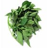 Frozen Bitterleaf 500g