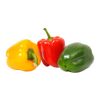 Green Pepper (Pack of 3)