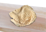 Honeycomb Tripe Frozen 1Kg