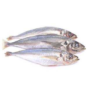 Horse Mackerel (Bag)