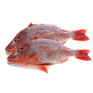 Red Bream Whole (Cleaned)