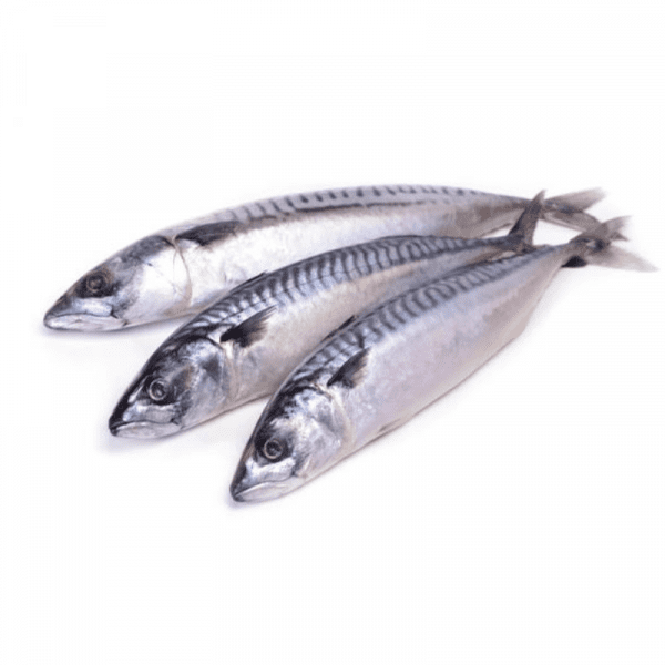 Whole Mackerel (Bag)