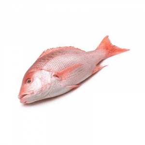 Whole Red Snapper (Clean)