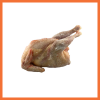 Broiler Chicken