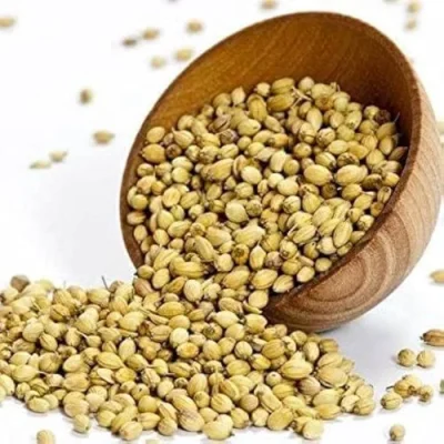 coriander-seed-small-500x500