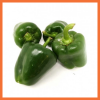 Green Cap Pepper (2-3)