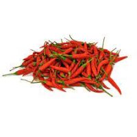 Hot Pepper