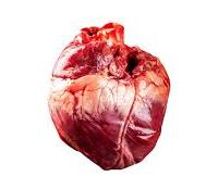 Beef Heart 1kg