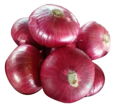 maharashtra-fresh-red-onion-500x500