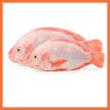 Red Bream Fish (Cut& Cleaned)