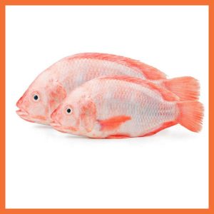 Red Bream Fish (Cut& Cleaned)