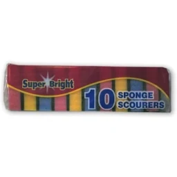 10 Sponge Scourers