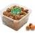 Al Madinah Delight Saudi Rotab Sokari Dates 1kg
