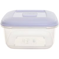 Whitefurze Square Food Storage Box 0.6L
